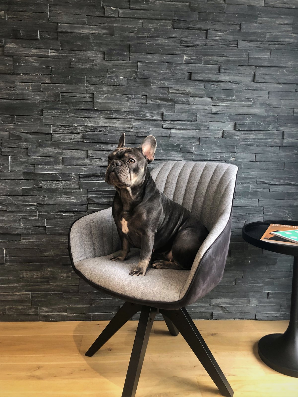 TEMSE 60x15x2-3.5 CM